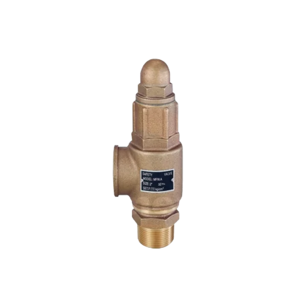 Bronze Safety Relief Valve W/ Sealing
